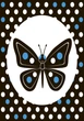 Контрастна книжка для немовляти : Лапотунечка А755008У 9789667485351 Ранок - зображення 2