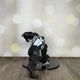 Фигурка игрушечная "Веном" из вселенной Marvel, статуэтка из ПВХ пластика Venom 14 см Black - изображение 7