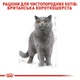 Вологий корм Royal Canin British Shorthair Adult для котів породи британська короткошерста 84шт*85г - зображення 3