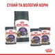 Влажный корм Royal Canin Appetite Control CIG для стерилизованных кошек склонных к выпрашиванию корма 84шт*85г - изображение 7
