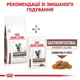 Сухой корм Royal Canin Gastro Intestinal Moderate Calorie для кошек при заболеваниях желудочно-кишечного тракта 2уп*4кг - изображение 5