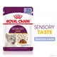 Влажный корм Royal Canin Sensory Taste Chunks In Jelly для взрослых кошек привередливых в питании 84шт*85г - изображение 2