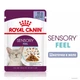 Вологий корм Royal Canin Sensory Feel Morsels In Jelly для дорослих кішок вибагливих у харчуванні 84шт*85г - зображення 2