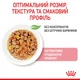 Вологий корм Royal Canin Kitten in Jelly для кошенят до 12 місяців 84шт*85г - зображення 3