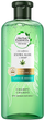 Szampon regenerujący Herbal Essences Bio: Renew Extra Aloe & Hemp Shampoo 380 ml (8001841500676) - obraz 1