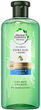 Szampon do nawilżania włosów Herbal Essences Bio: Renew Potent Aloe & Bamboo Shampoo 380 ml (8001841500973) - obraz 1