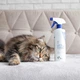 VetExpert Cat Odor Eliminator Знищувач неприємних запахів котів, 500 мл - зображення 2