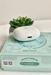 Бездротові навушники Remax 1 Eggie Series CozyBuds / Беспроводные наушники Remax 1 Eggie Series CozyBuds - зображення 6