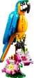 Дитячий конструктор LEGO Creator Екзотичний папуга 253 шт. деталей (31136) - зображення 2
