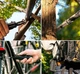 Мультитул 10 в 1 багатофункціональний ніж, Кишеньковий ніж, Викрутка, Пласкогубці + комплект біт - зображення 8