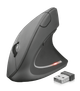 Мышь беспроводная Trust Verto Ergonomic, Black, USB (2.4GHz), оптическая, 800/1200/1600 dpi, 6 кнопок, в эргономичном вертикальном исполнении, гнездо для хранения микроприемника 2xAAA (22879) - изображение 1