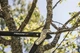 Великий контактний гілкоріз Fiskars PowerGear (1000583) - зображення 3