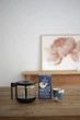 Кофе в зернах Dallmayr Home Barista жареный 500 г (4008167014102) - изображение 3