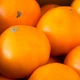 Насіння Томат Ямамото F1 10нас Kitano Seeds - зображення 2