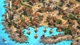 Дополнение Age of Empires II: Definitive Edition - Lords of the West для ПК (Ключ активации Steam) - изображение 6