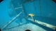Гра World of Diving для ПК (Ключ активації Steam) - зображення 4