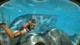 Гра World of Diving для ПК (Ключ активації Steam) - зображення 6
