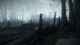 Игра Hunt Showdown для ПК (Ключ активации Steam) - изображение 6