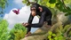 Игра Zoo Tycoon: Ultimate Animal Collection для ПК (Ключ активации Steam) - изображение 4