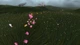 Игра Flower для ПК (Ключ активации Steam) - изображение 6