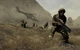 Игра Arma 2: Complete Collection для ПК (Ключ активации Steam) - изображение 3