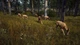 Игра Way of the Hunter Elite Edition для ПК (Ключ активации Steam) - изображение 3