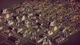Доповнення Rise of Industry: 2130 для ПК (Ключ активації Steam) - зображення 2