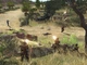 Игра Men of War для ПК (Ключ активации Steam) - изображение 3