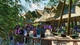 Дополнение Planet Zoo: набор «южная америка» для ПК (Ключ активации Steam) - изображение 6
