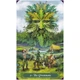 Карты Таро Зеленой Ведьмы - The Green Witch Tarot, Ann Moura. Llewellyn - изображение 3