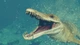Дополнение Jurassic World Evolution 2: Early Cretaceous Pack для ПК (Ключ активации Steam) - изображение 5