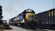 Дополнение Train Sim World: CSX GP40-2 Loco для ПК (Ключ активации Steam) - изображение 4