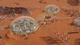 Дополнение Surviving Mars: Deluxe Upgrade Pack для ПК (Ключ активации Steam) - изображение 3