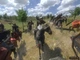 Игра Mount & Blade: Warband для ПК (Ключ активации Steam) - изображение 2