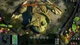 Игра Empires of the Undergrowth для ПК (Ключ активации Steam) - изображение 2