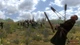 Игра Mount & Blade: With Fire & Sword для ПК (Ключ активации Steam) - изображение 6