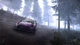 Игра WRC Generations для ПК (Ключ активации Steam) - изображение 4