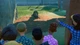 Игра Planet Zoo для ПК (Ключ активации Steam) - изображение 3