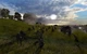 Игра Order of War для ПК (Ключ активации Steam) - изображение 3