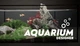 Игра Aquarium Designer для ПК (Ключ активации Steam) - изображение 1