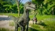 Дополнение Jurassic World Evolution: Raptor Squad Skin Collection для ПК (Ключ активации Steam) - изображение 3