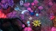 Игра DreamWorks Драконы: Легенды Девяти Королевств для ПК (Ключ активации Steam) - изображение 4