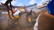 Игра Monster Truck Championship - Europe для ПК (Ключ активации Steam) - изображение 3