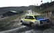 Игра DiRT Rally для ПК (Ключ активации Steam) - изображение 2