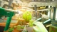 Игра Shooty Fruity для ПК (Ключ активации Steam) - изображение 6