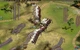 Гра Cossacks 2: Napoleonic Wars для ПК (Ключ активації Steam) - зображення 5