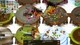 Дополнение Circle Empires Rivals: Forces of Nature для ПК (Ключ активации Steam) - изображение 3