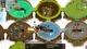 Дополнение Circle Empires Rivals: Forces of Nature для ПК (Ключ активации Steam) - изображение 5