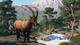 Дополнение Planet Zoo: набором «Европа» для ПК (Ключ активации Steam) - изображение 4