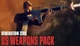 Дополнение Generation Zero - US Weapons Pack для ПК (Ключ активации Steam) - изображение 1